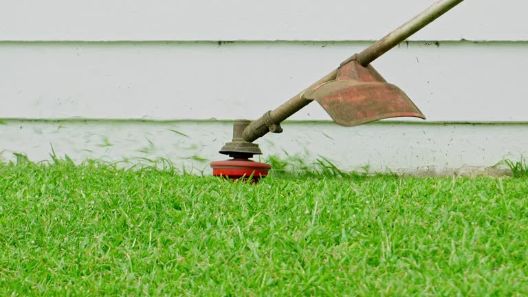 Grass Overseeding in Eutaw, AL